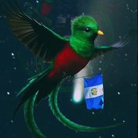 sonido original