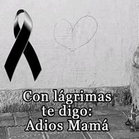 jaz_flores_10