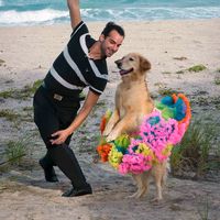 carrie.perrita.bailarina