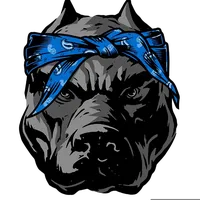 original sound - music_lyrics_readys