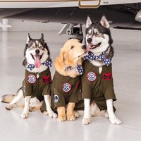 imbluethesiberiann