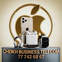 cheikhbusinesstelecom4