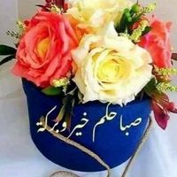 simohammed1111