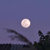 lua_amorim1704