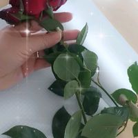ruby15h