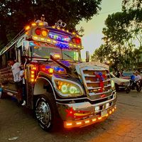 busesgt6