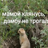 оригинальный звук