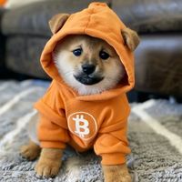 danyellrodrigues07