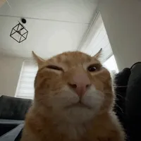 original sound - croc_boot11