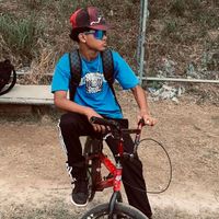 padilla_joss1