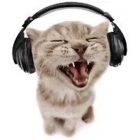 original sound - music_123366