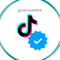 grosirnyatiktok