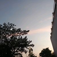 kliperfivempewintiss