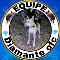 eqp.diamante.ofc