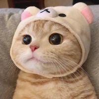 odaydethuong
