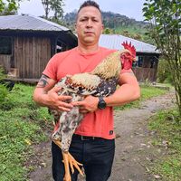 alexerazojacd