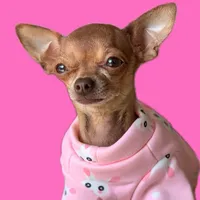 original sound - teacupcoconut