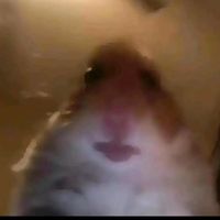 mncrftcd_
