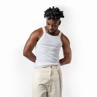gh_punch