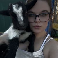 lexidn24