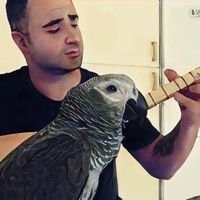 original sound