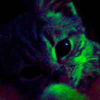 оригинальный звук