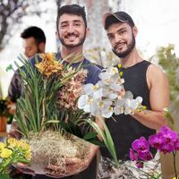 orquidea.terapia