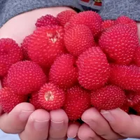 original sound - inspiraciondelcorazo