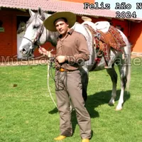 original sound - musicadelvale