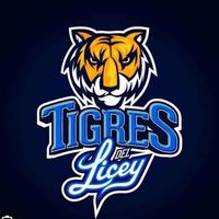 team_liceyta469