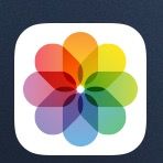 Hamburgers and cheeseburgers work well with fries