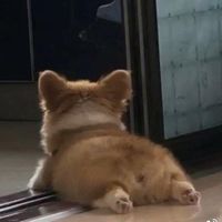 kkaaxdw