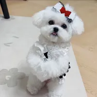 original sound - petsgoodis.com