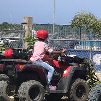 tubaby339