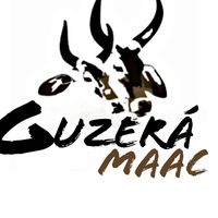 guzera.maac