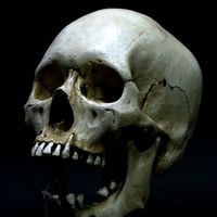 оригинальный звук