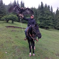 оригинальный звук