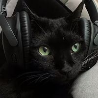 original sound