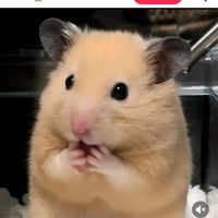 lisi.archila