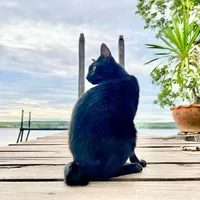 original sound - namjaidee17