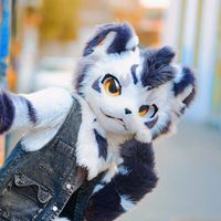 原聲 - 银碳Gintan