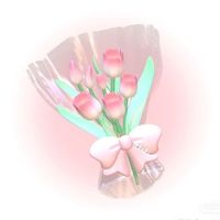 ur.favv_burnett