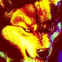 lobo12091