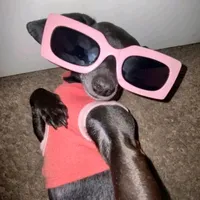 original sound - desempregada.ms