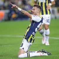 orijinal ses