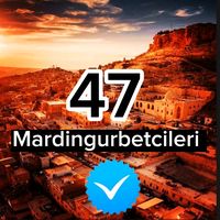 mardingurbetcileri47