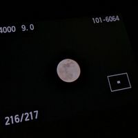 original sound - Gevditz_