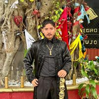 unicornio_negro062