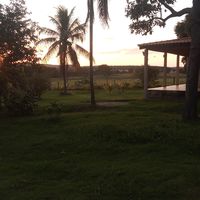 paulorodrigues35281