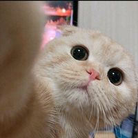 Dj Likin breat Emisamelaw